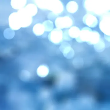 Profile image of 蓮の父