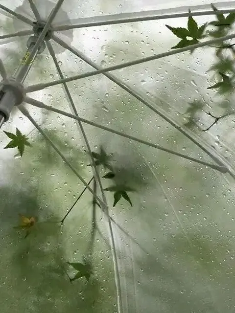 l.ib_love의 今日から君は俺の彼女ね　。