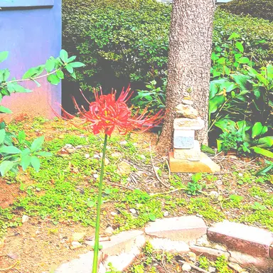 Profile image of 서이브