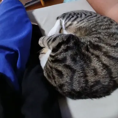 Profile image of 초코-우유