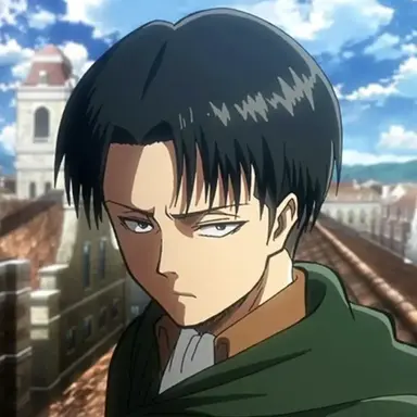 Profile image of Levi Ackerman