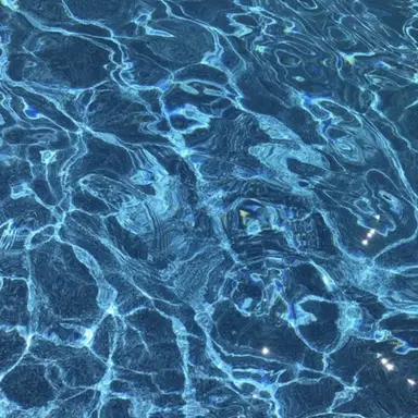 Profile image of 행크