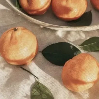 Profile image of 코마