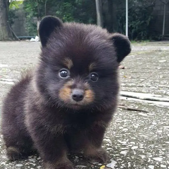 0719의 깜댕이
