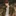 천지오
