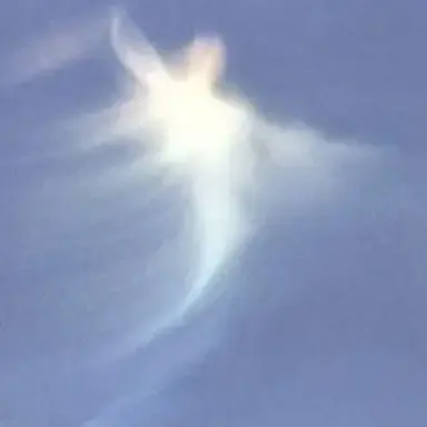 Profile image of 유선우