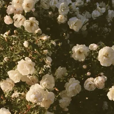 Profile image of 유지민