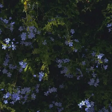 Profile image of 김민정