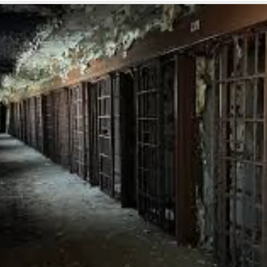 GreedyBean0859의 刑務所、刑務官、一生の恥