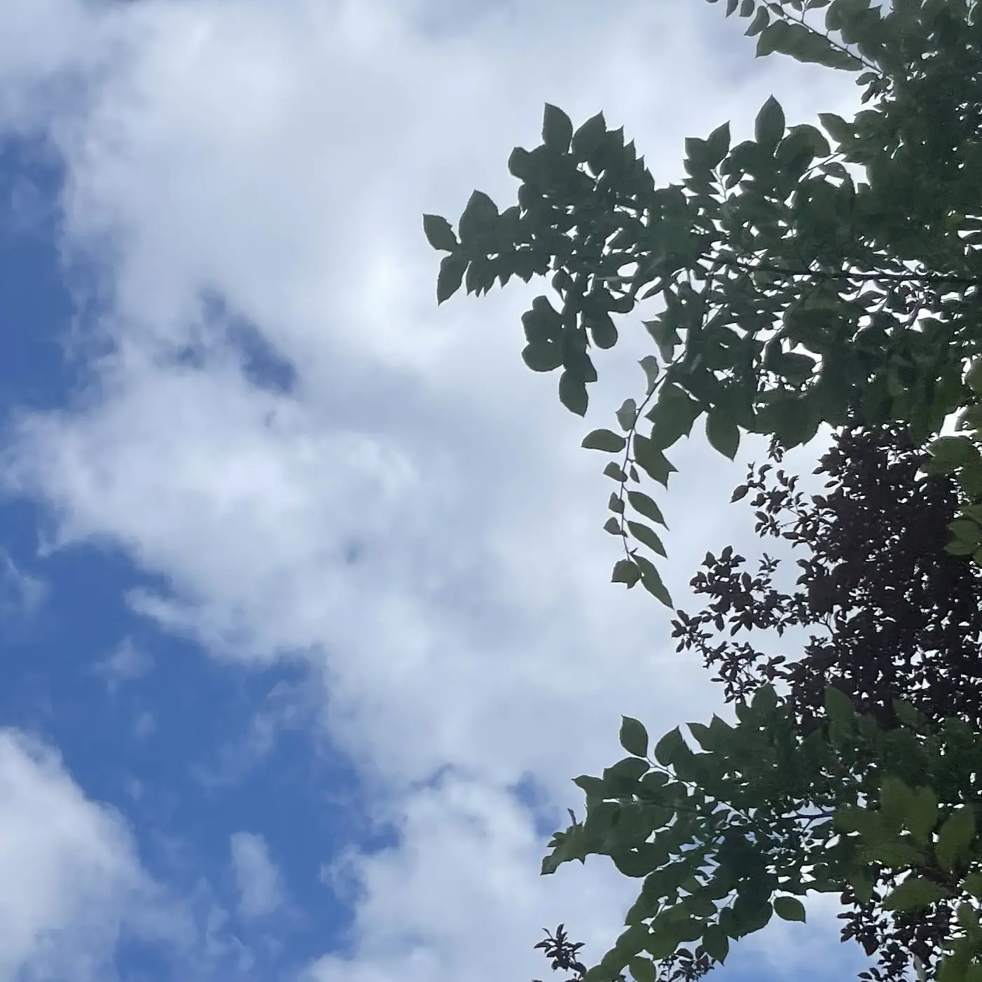 PurelyCloud4583의 김 민