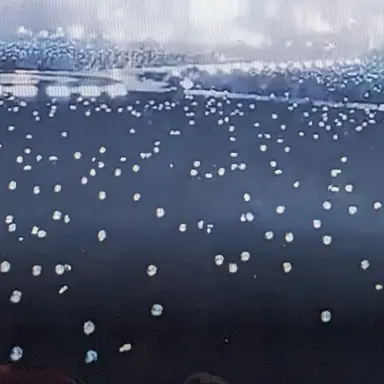 Profile image of 若井滉斗