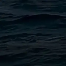 RegalMango0063의 좀비아포칼립스