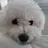 평학