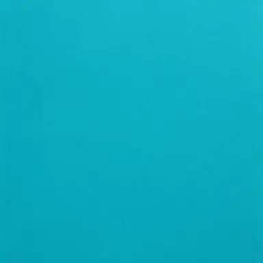 Profile image of 方丈輝元