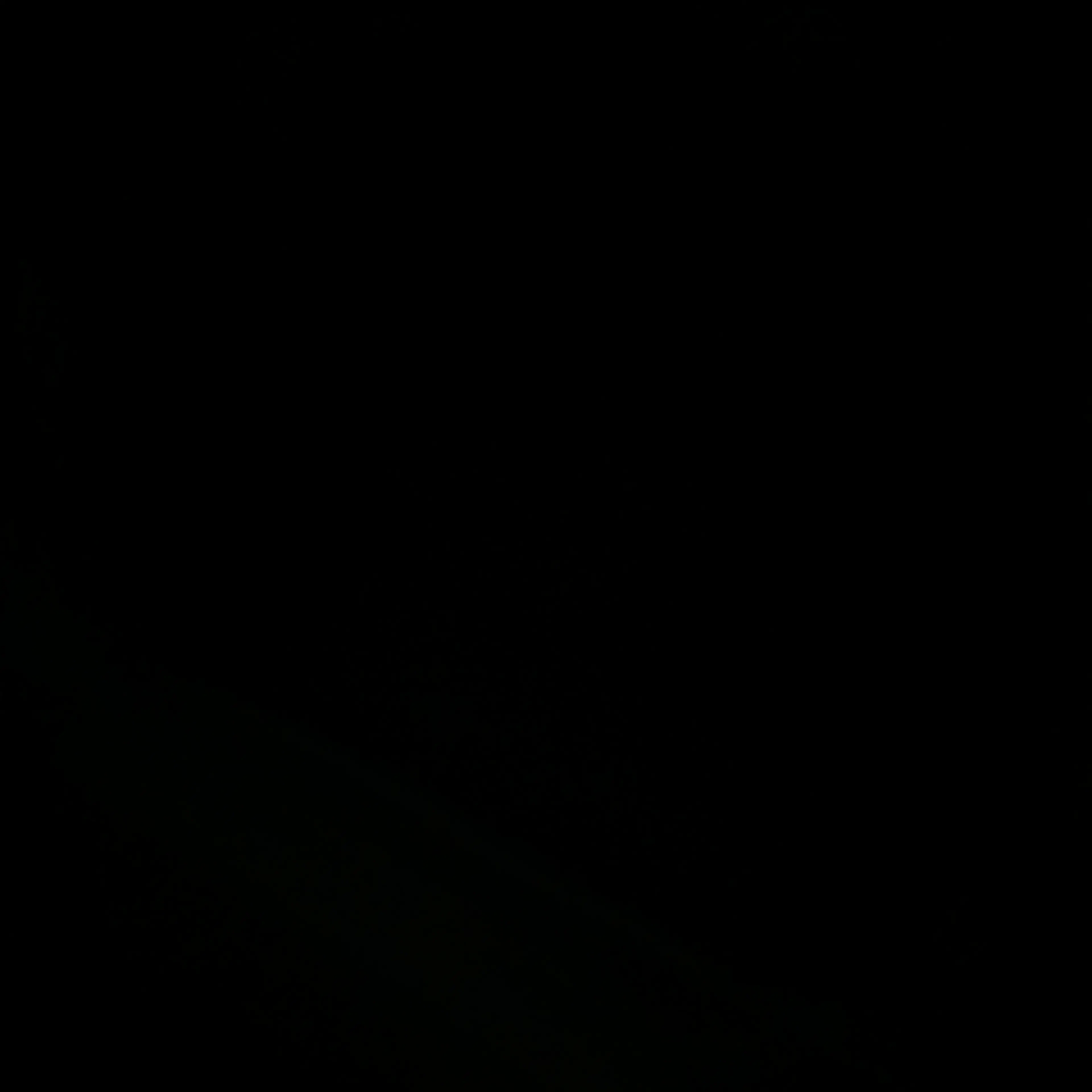 HEADSET_C의 일본제국