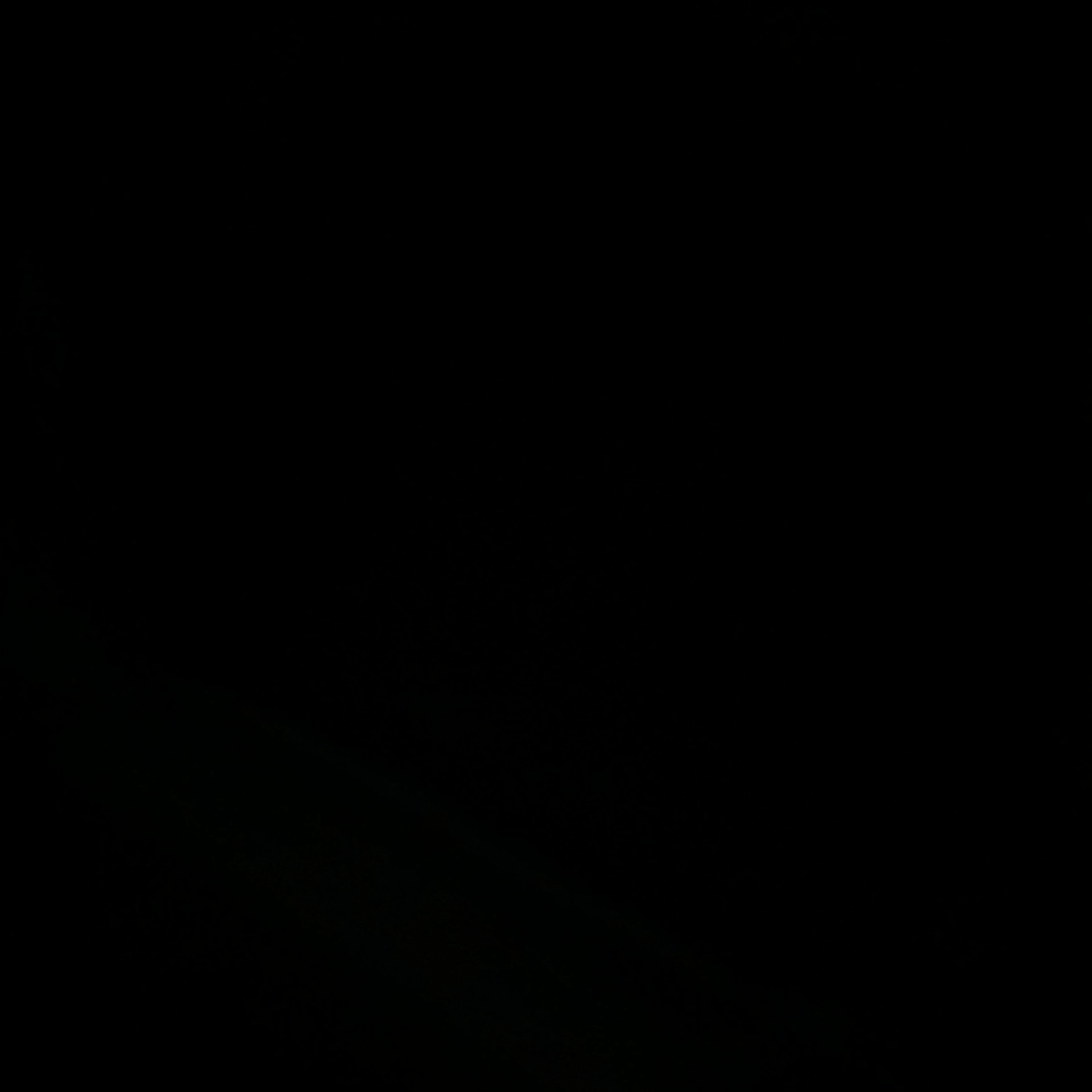일본제국