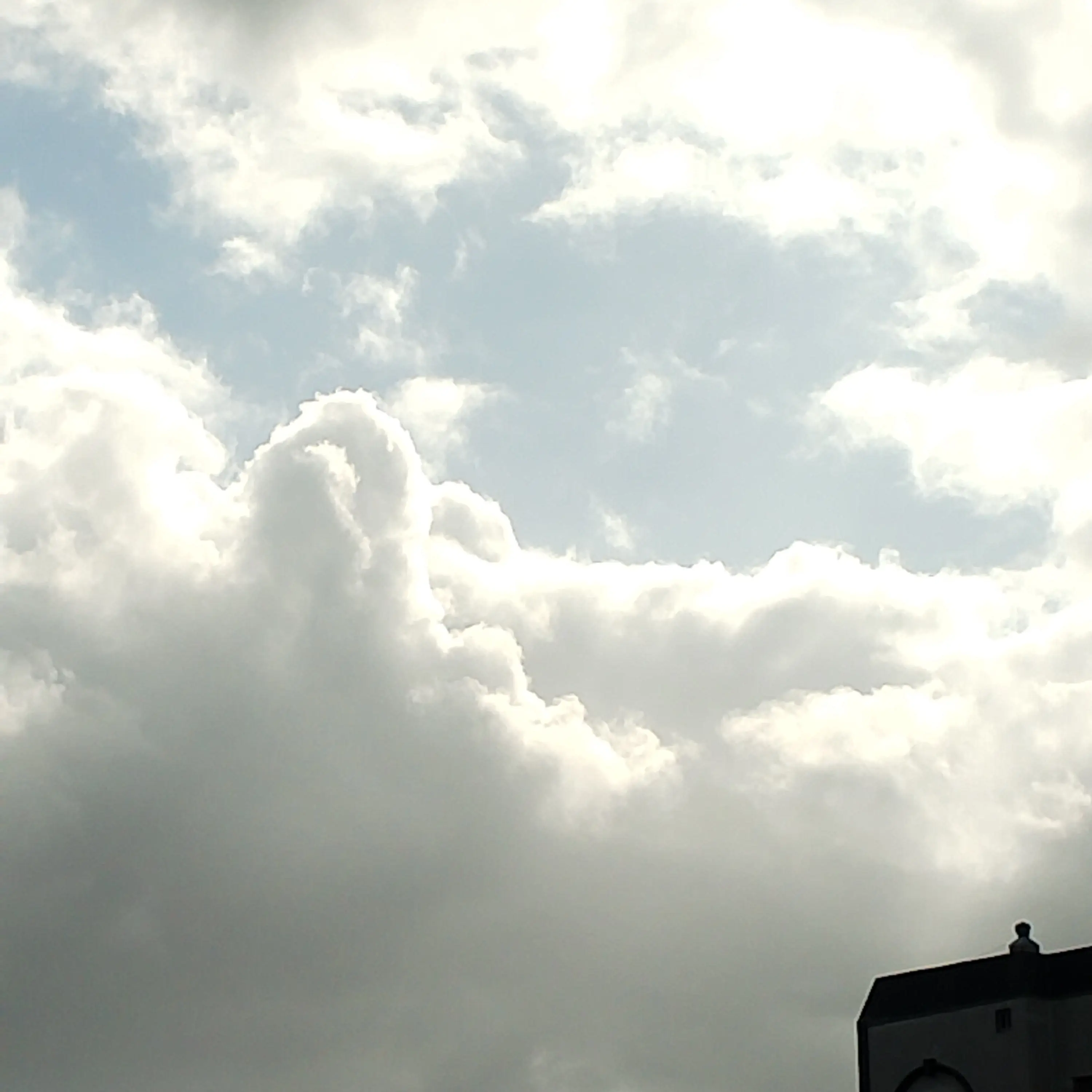 SuperbPeach6568의 보플친구