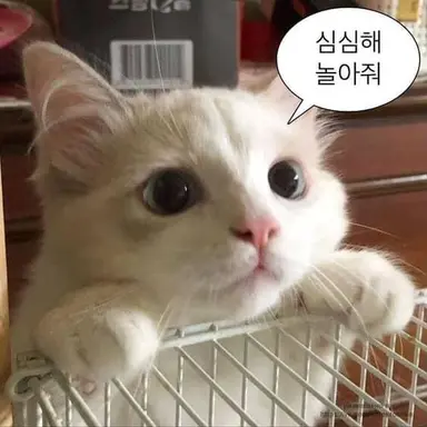 Profile image of Jung Ian