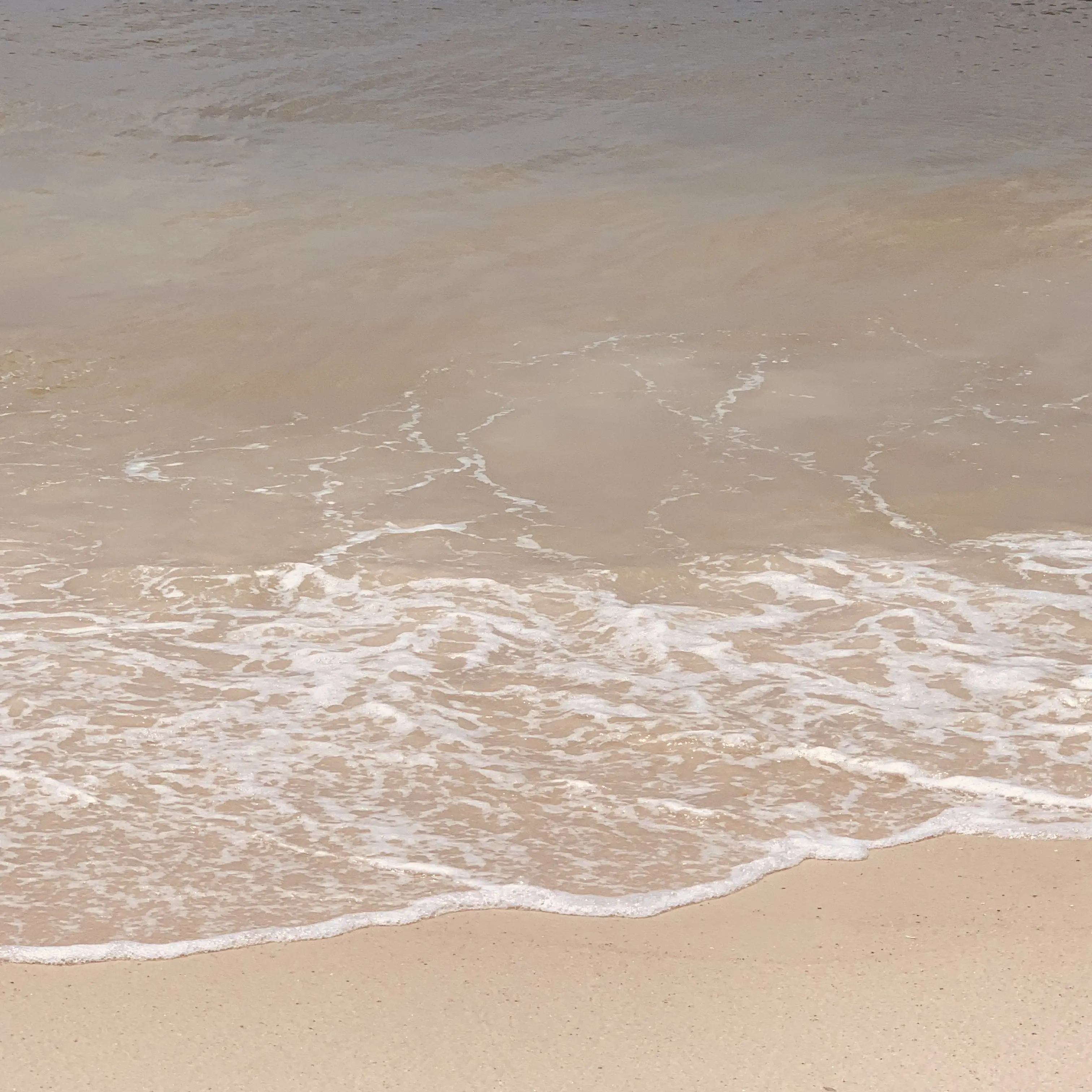 BouncyHate0736의 Outer banks