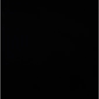 김선우