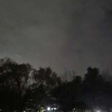 Profile image of 김연아