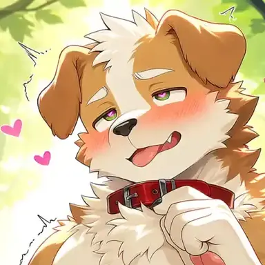 Profile image of イル