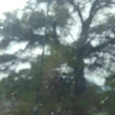 Profile image of Mia