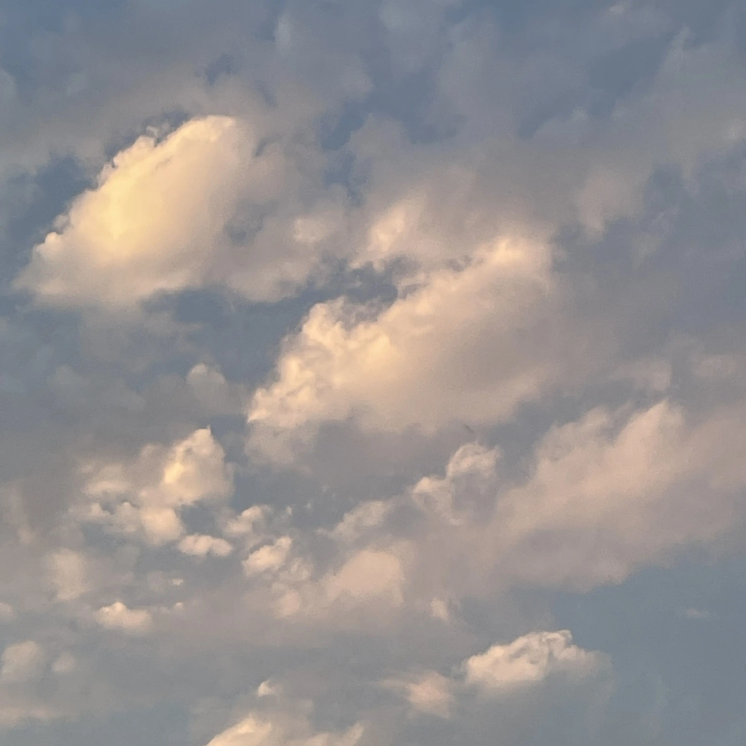 FolksyLung5132의 정공룡