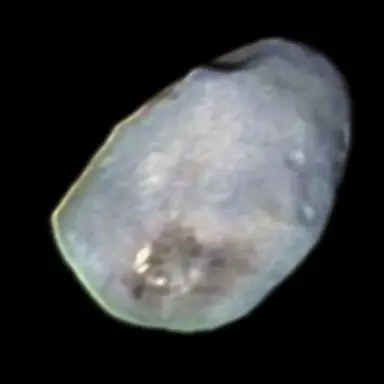 Profile image of 닉스