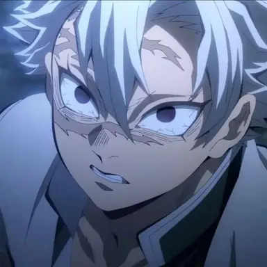 Profile image of 시나즈가와 사네미