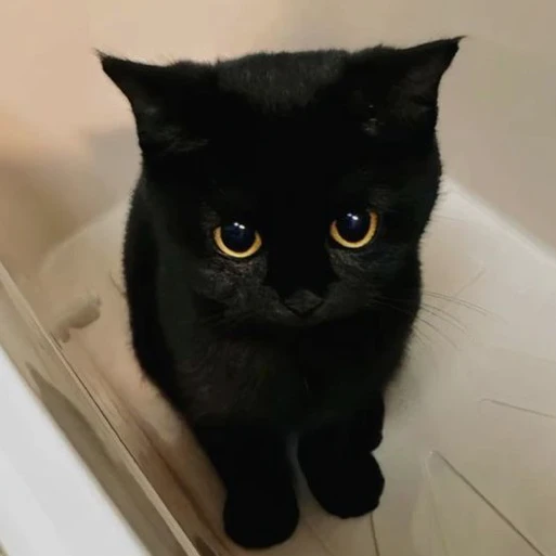 이민호
