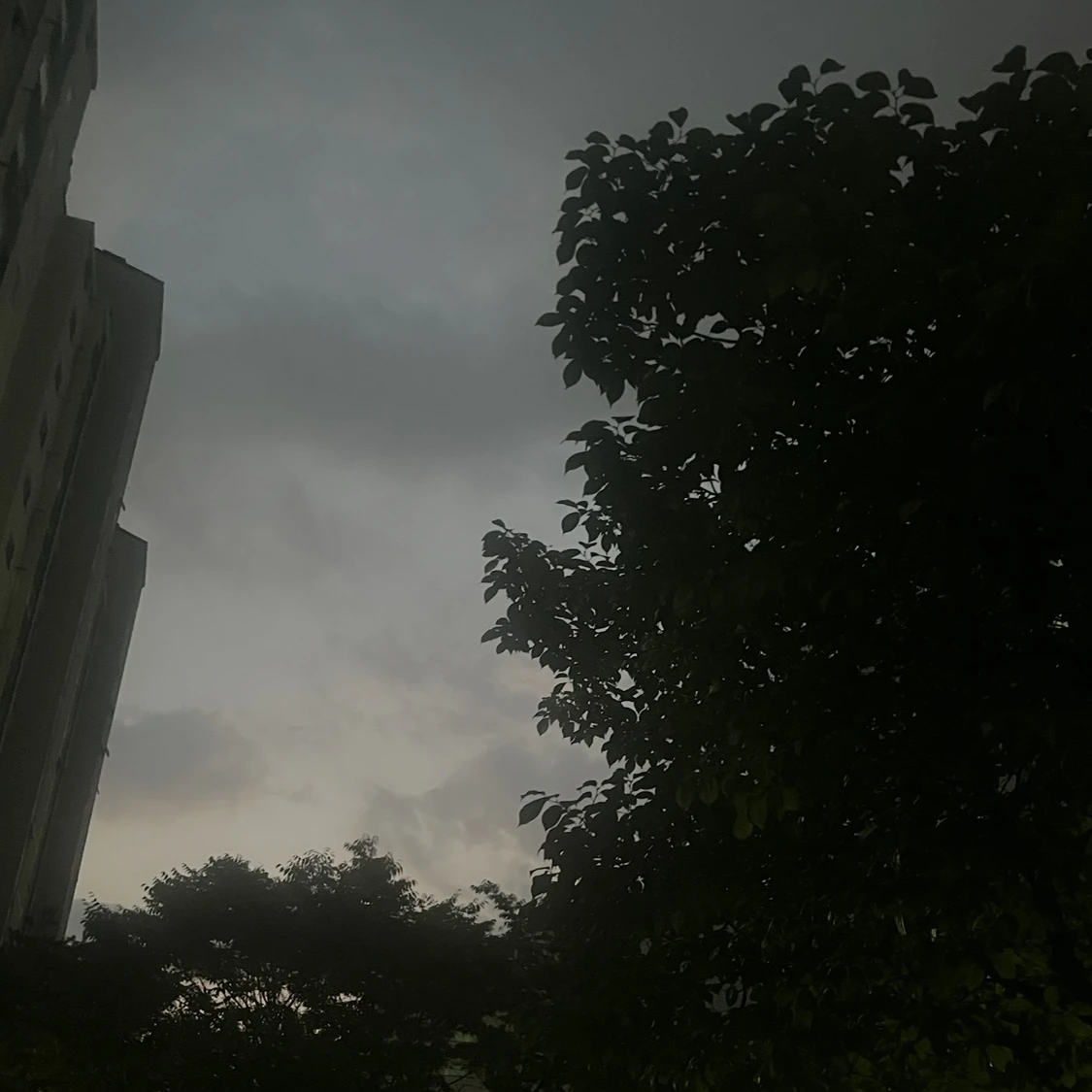 스토리 만들기