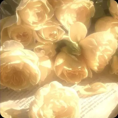 Profile image of 은수