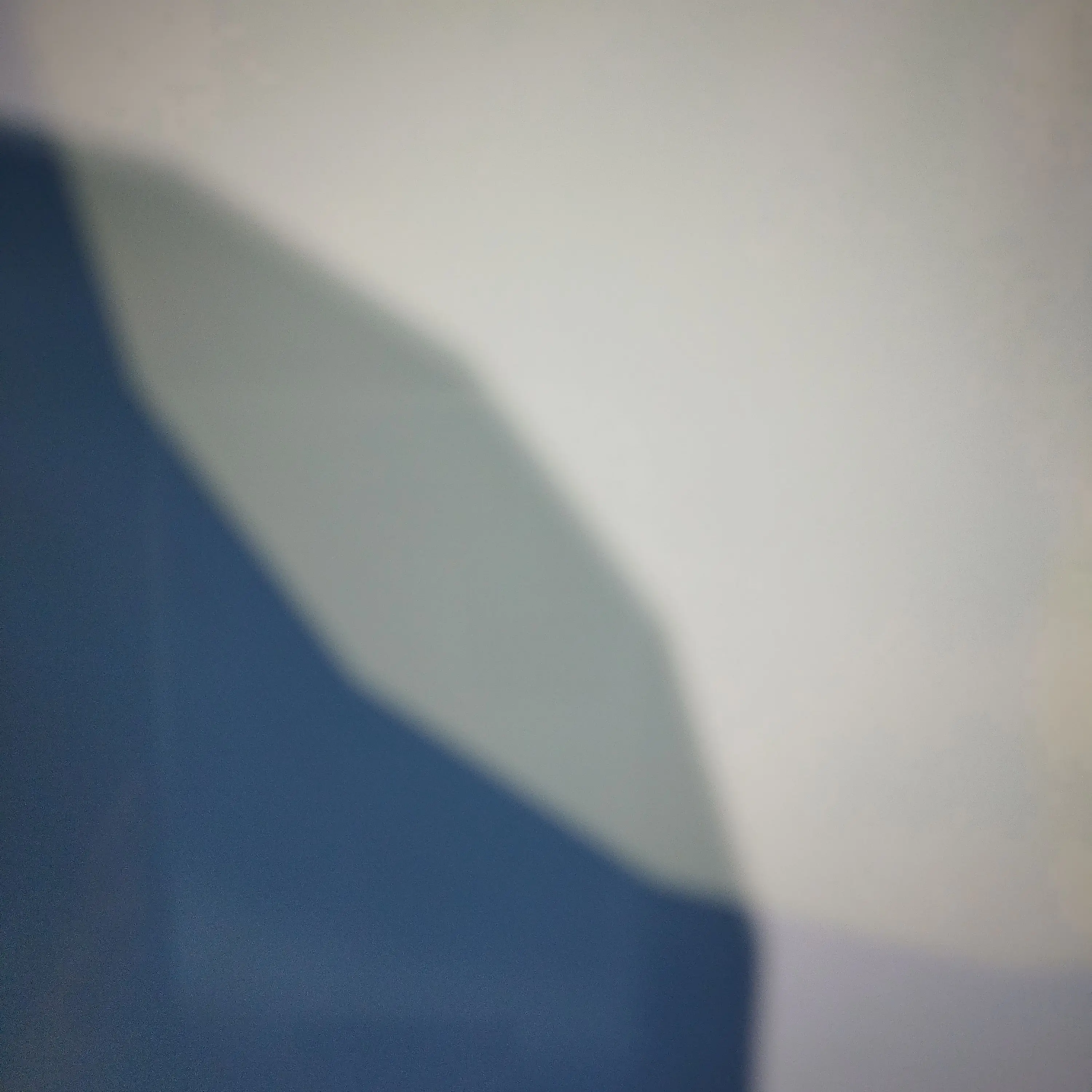 StrictMolly8259의 アイドルとオタク！