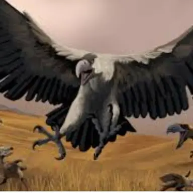 Profile image of 아르젠타비스