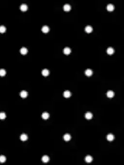 mizunokoku_ichnokata의 10cm - pet