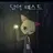 담력 테스트