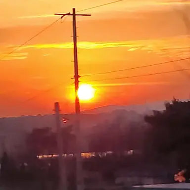 Profile image of 코마