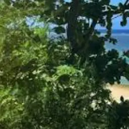 Profile image of 林