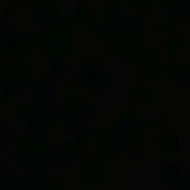 Profile image of 프록