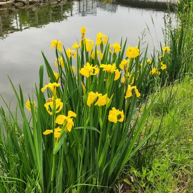 Profile image of 아름