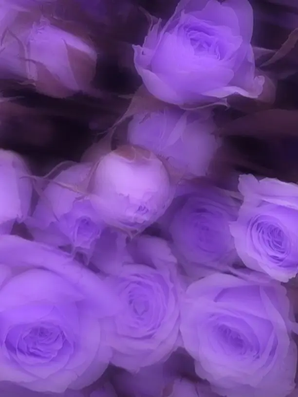 SafeDate1424의 呪って呪って
