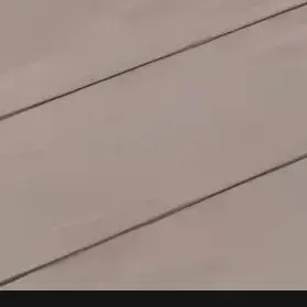 Profile image of 채스터