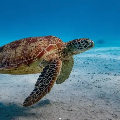 Profile image of 꽥