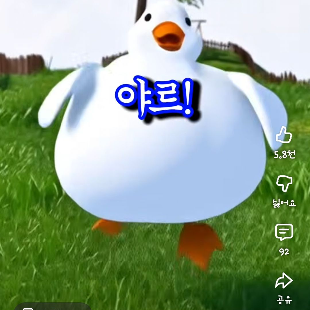 귀여운 야르오리 대표 이미지