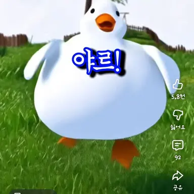 Profile image of 야르오리