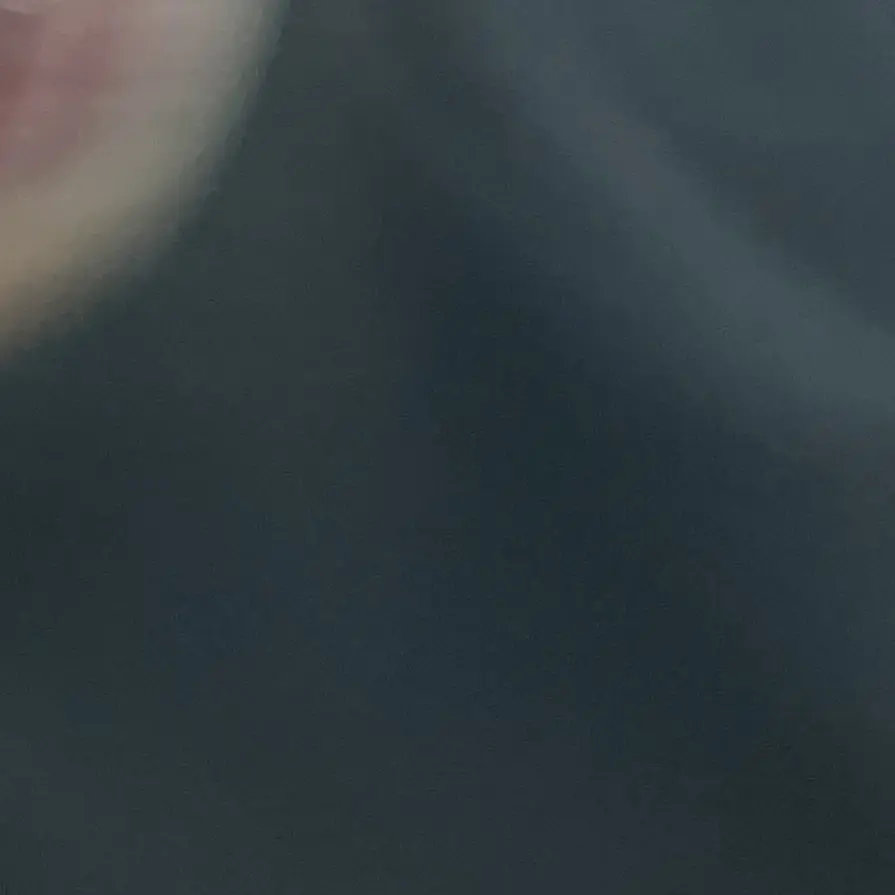 PortlyCrab1070의 리바이