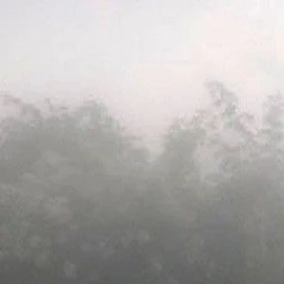 나재견