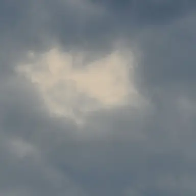Profile image of 최수연