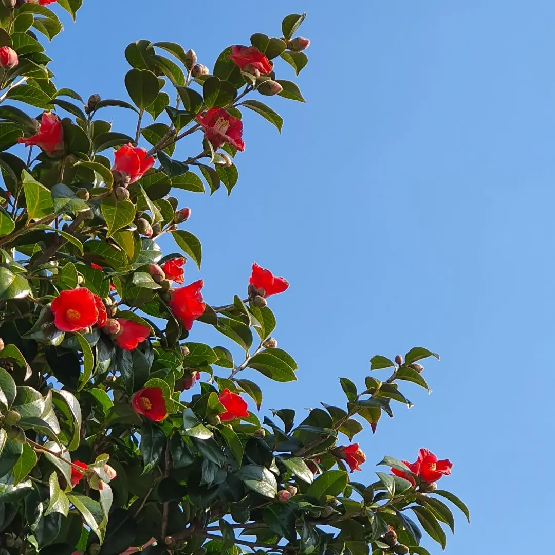 Eggron_lazy의 감제이